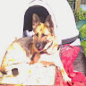 Meet your Posher, Billy